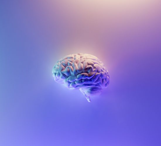 Poradnia Neurologiczna