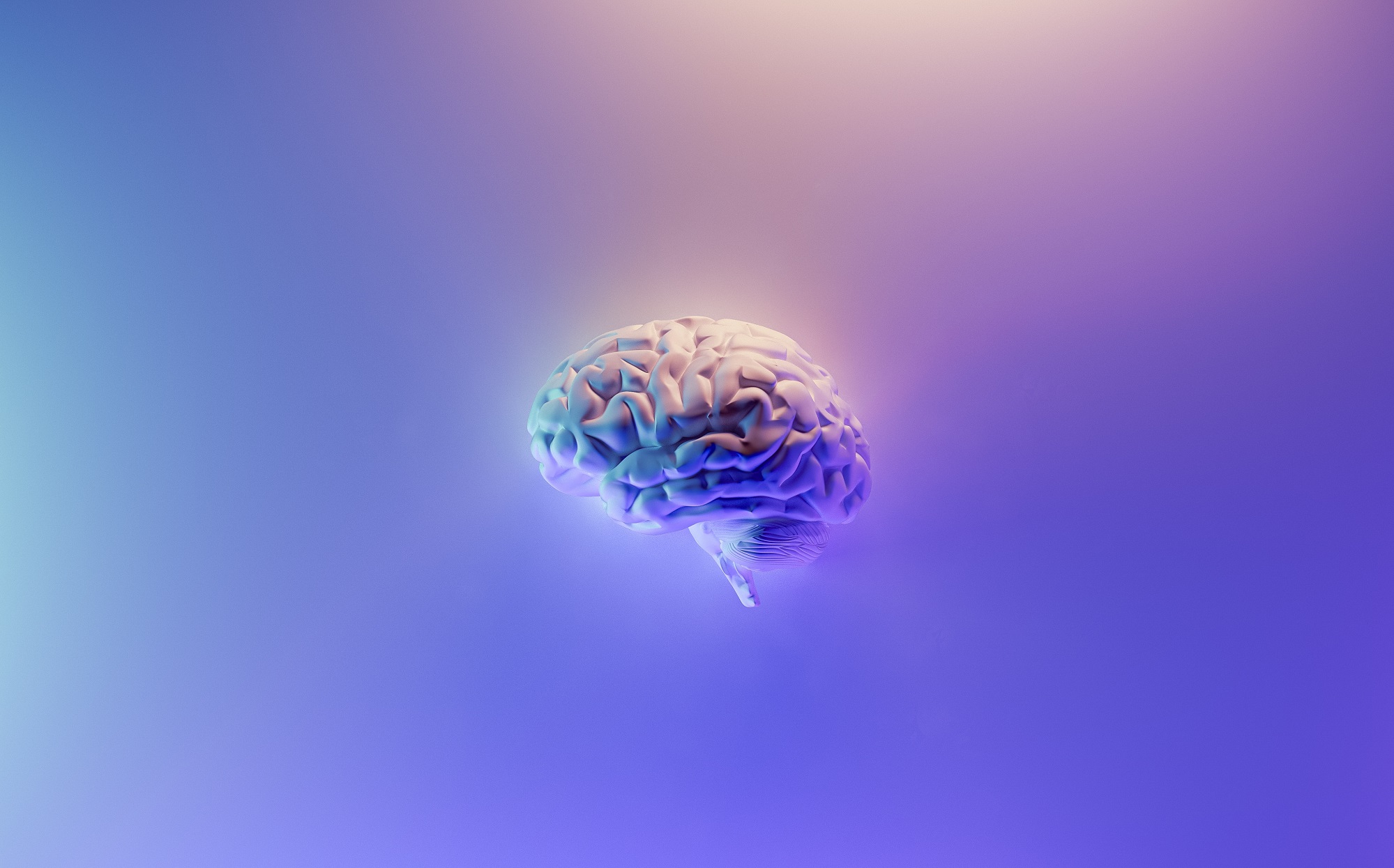 Poradnia Neurologiczna
